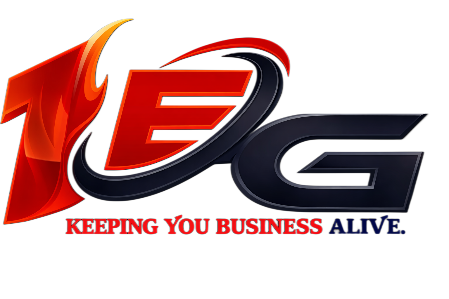 1EG & Web Services